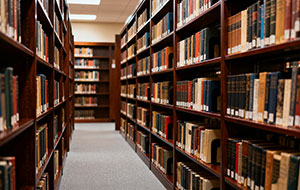 分析思维导图在小学语文童话类文本阅读中的辅助作用